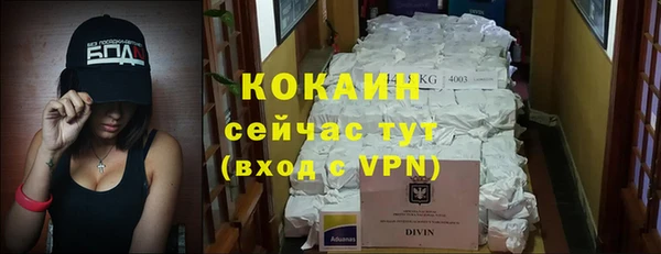 стафф Аркадак