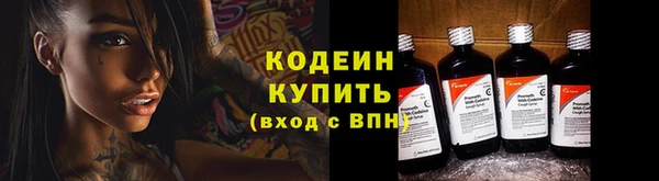 хмурый Семилуки