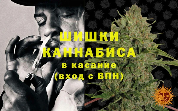 твердый Арсеньев