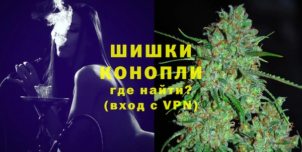 твердый Арсеньев