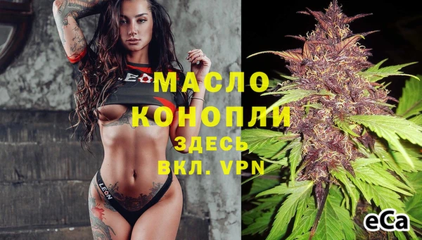 твердый Арсеньев