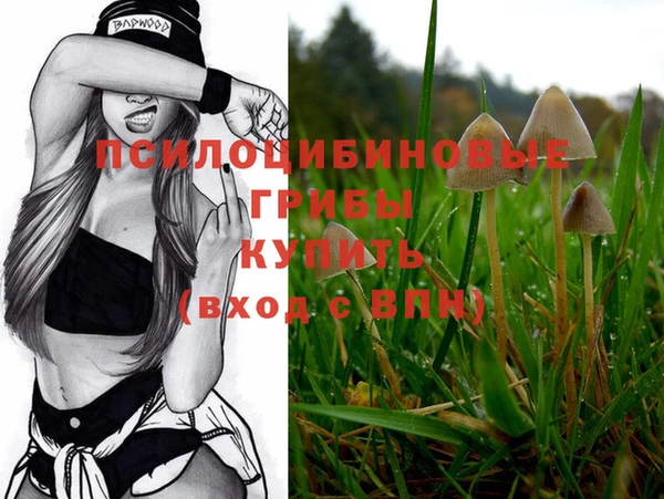 стафф Аркадак