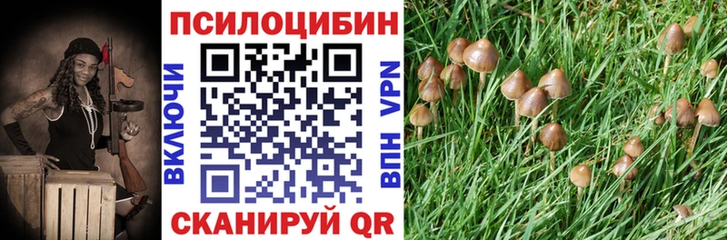 Галлюциногенные грибы мицелий  купить   Олёкминск 